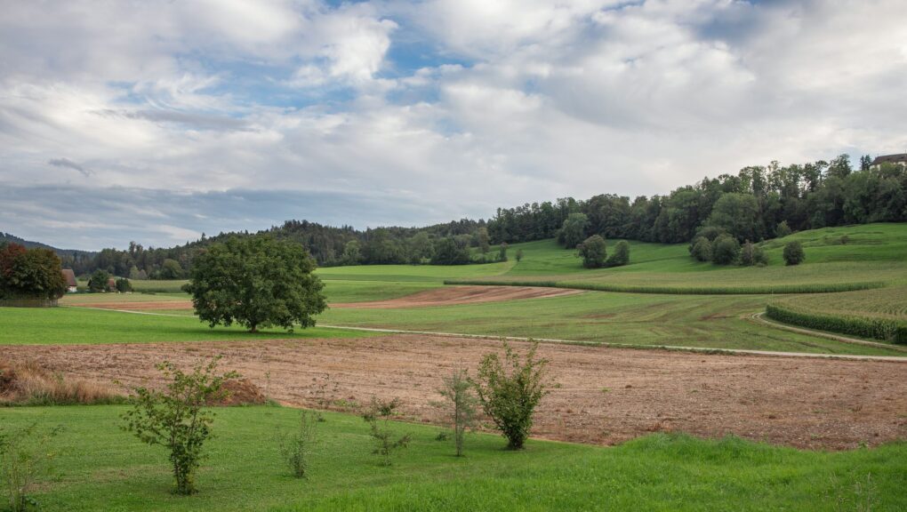 Ein nachhaltiges Landwirtschaftsfeld, das einen Wald im Hintergrund hat.