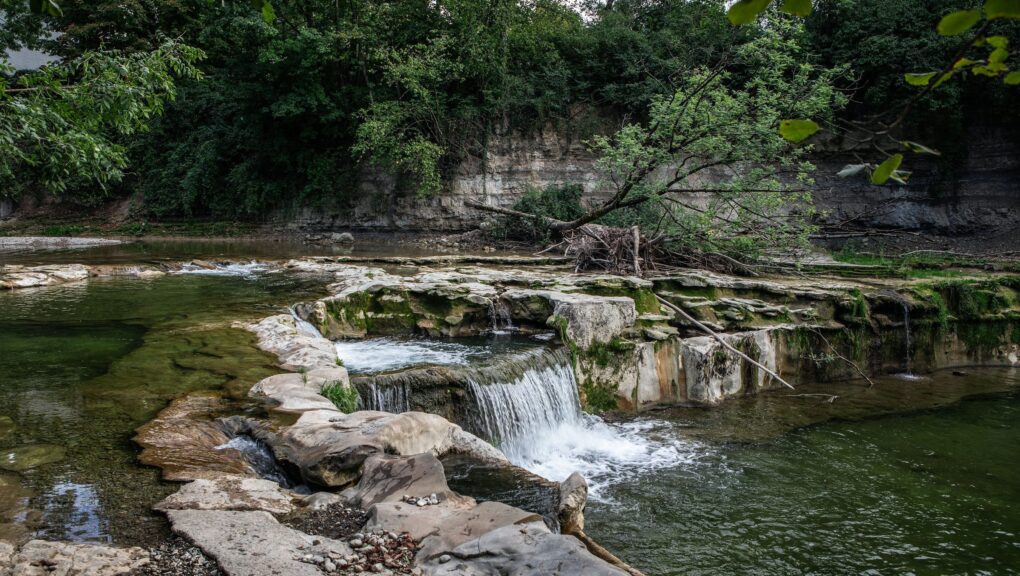 Ein Fluss mit einem Wasserfall, von Bäumen umgeben.