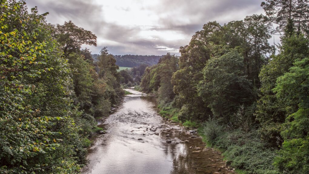 Ein Fluss, umgeben von Bäumen.