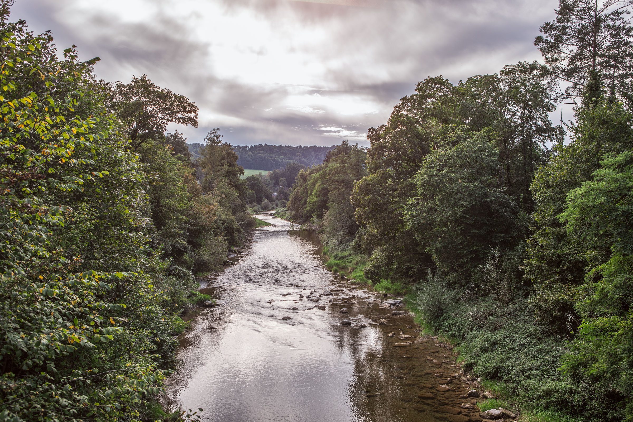 Ein Fluss, umgeben von Bäumen.