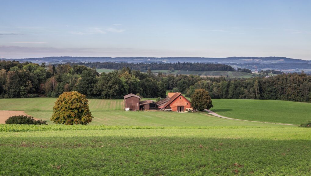 Ein Bauernhof inmitten einem grünen Feld.